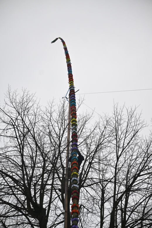 35 metrów i 80 centymetrów liczy palma, która zwyciężyła tegoroczny konkurs palm w Lipnicy Murowanej