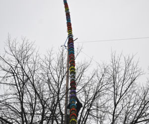 35 metrów i 80 centymetrów liczy palma, która zwyciężyła tegoroczny konkurs palm w Lipnicy Murowanej