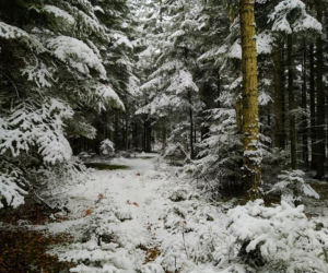 Zima Starachowice 29.11.2020