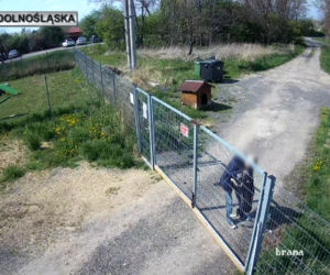 Sadysta rzucił psem przez ogrodzenie schroniska! Wszystko się nagrało. 
