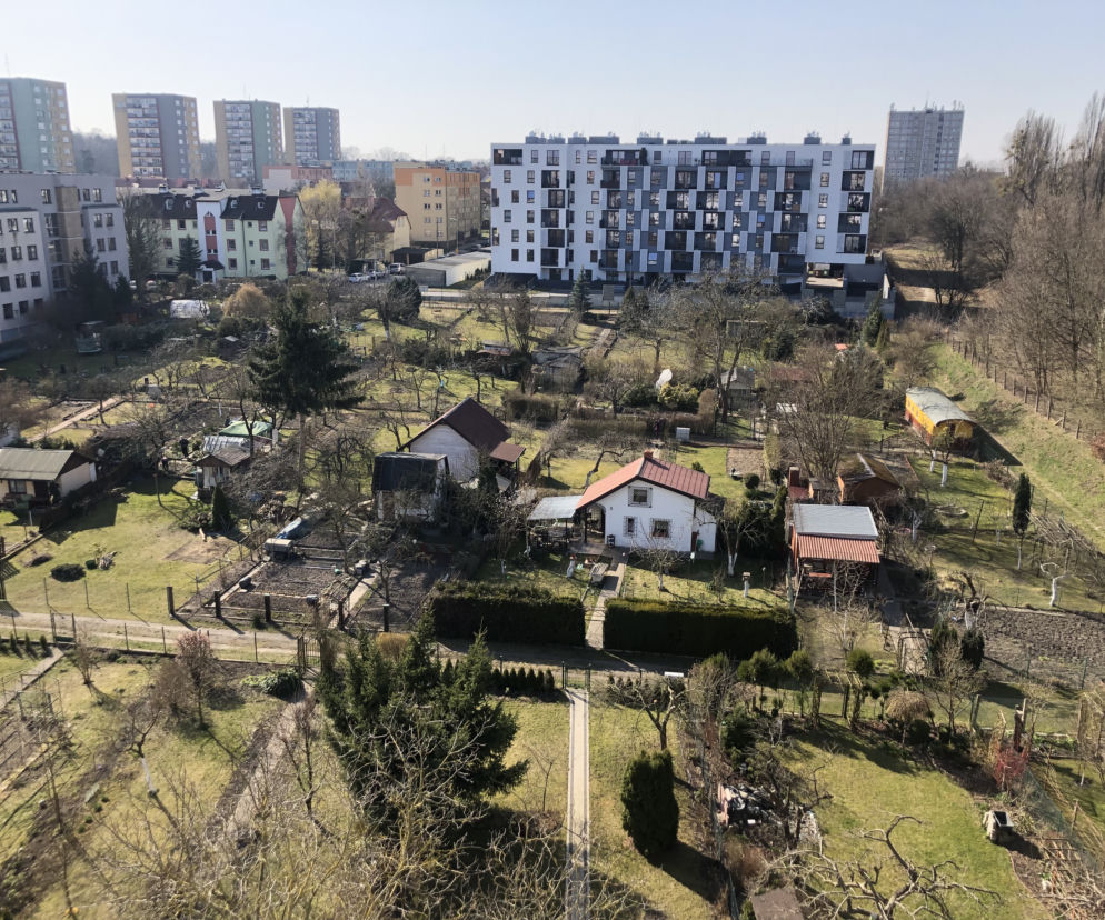 Ogródki działkowe Szczecin