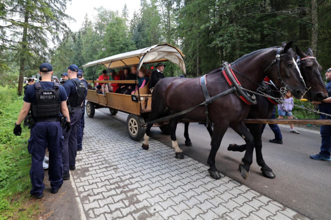 Protesty przeciwko konnemu transportowi nad Morskim Okiem