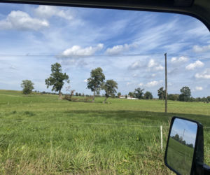 Bitwa o Polanę Ukciańską nad Krutynią