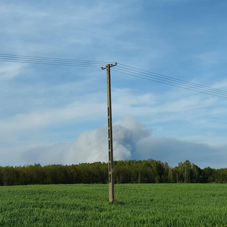 Pożar lasu koło Biłgoraja