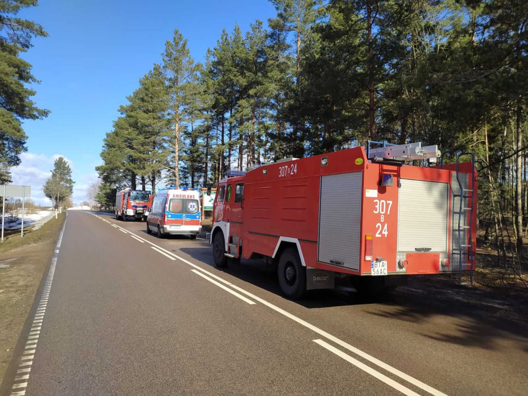 Wypadek na DW 686. Kierowca renault "zaparkował" między drzewami [ZDJĘCIA]
