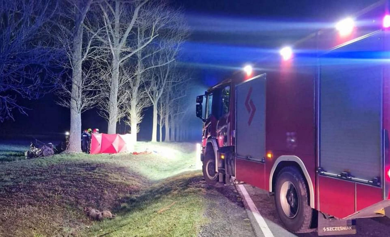 Śmiertelny wypadek pod Skwierzyną! BMW rozpadło się na części po zderzeniu z sarną [ZDJĘCIA]
