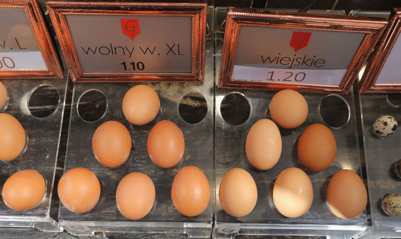 Księżycowe jaja 5 zł za sztukę. „Te kury słuchają muzyki klasycznej”