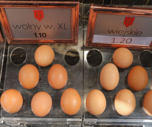 Księżycowe jaja 5 zł za sztukę. „Te kury słuchają muzyki klasycznej”