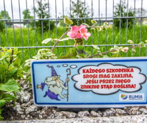 RUMIA: Policja nie dała rady. Złodziei odstraszy SROGI MAG [ZDJĘCIA]