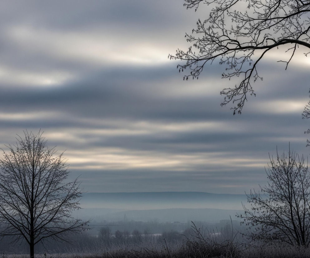 Pochmurne niebo z szaro-białymi pasmami chmur dominuje górną część obrazu, z jaśniejszymi fragmentami po prawej stronie. Na pierwszym planie, w lewej dolnej części, stoi samotne, bezlistne drzewo o ciemnych gałęziach. Po prawej stronie, nieco dalej, widać gęstszą grupę bezlistnych drzew, również o ciemnych, nagich konarach, niektóre z nich pokryte delikatnym szronem. Poniżej linii horyzontu rozciąga się zamglony krajobraz z ciemnymi sylwetkami drzew i krzewów, a w tle majaczą niewyraźne zarysy wzniesień i zabudowań, zanikające w błękitno-szarej mgiełce.