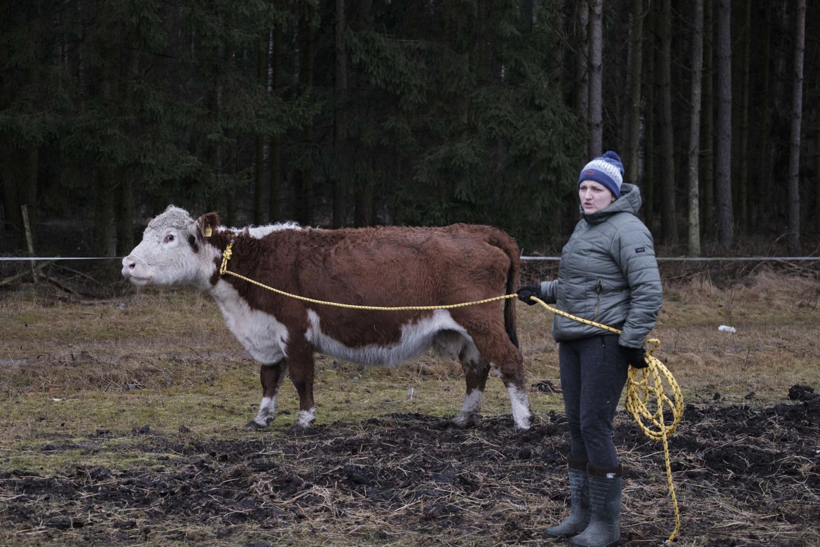 Rolnicy. Podlasie. Tak mieszka Emilia Korolczuk. Zdjęcia z Rancza Laszki