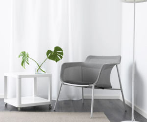 Monstera we wnętrzach