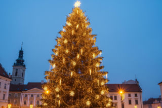 Krakowska choinka znów zachwyca. Czy to najdroższe świąteczne drzewko w Polsce?