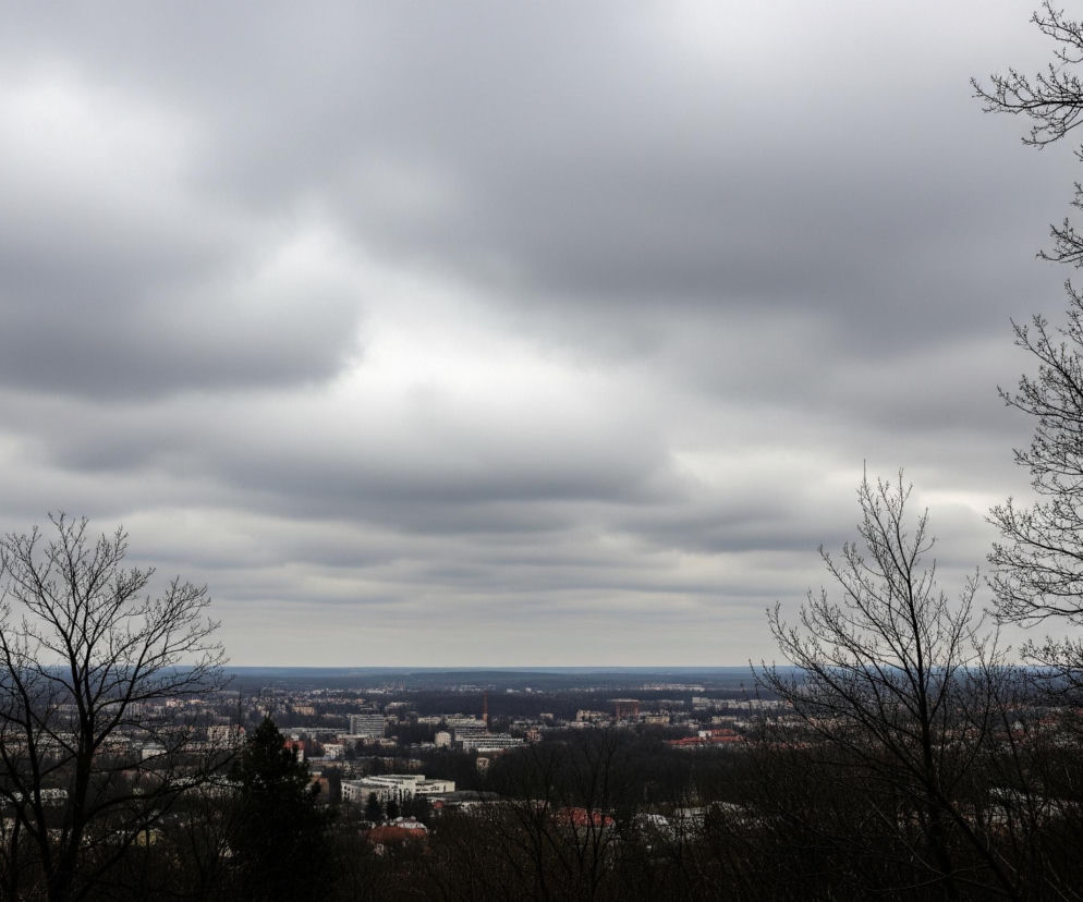 Dominantnym elementem obrazu jest rozległy widok miasta pod zachmurzonym, szarym niebem, które zajmuje ponad połowę górnej części kadru. Chmury mają zróżnicowane odcienie szarości, od niemal białych po ciemniejsze, co nadaje im dynamiczny wygląd. Na pierwszym planie, u dołu i po bokach, widoczne są ciemne, nagie gałęzie drzew, które tworzą efektowne ramy dla krajobrazu miejskiego. Horyzont miasta jest zamazany i wtapia się w bladoniebieski pas nieba tuż pod chmurami, natomiast liczne budynki, częściowo zasłonięte drzewami, tworzą gęstą zabudowę, przeplataną fragmentami ciemnej zieleni lasów lub parków.