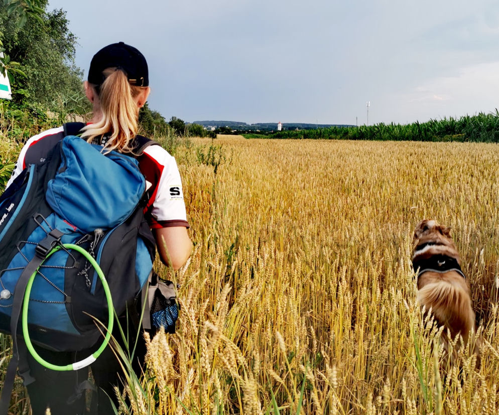 Ostrzeszów: Zakończono poszukiwania 70-latka! Wycieńczonego mężczyznę odnalazł pies [ZDJĘCIA] 