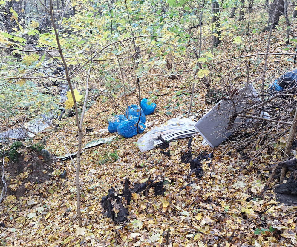 Zostawił śmieci w lesie. Słono za to zapłacił