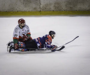 Zagłębie Sosnowiec - KH Energa Toruń 3:5, zdjęcia z meczu