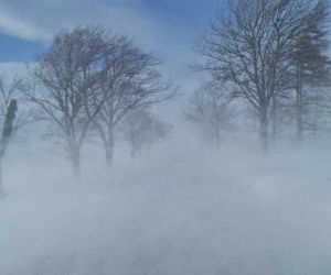 Zamieć śnieżna uwięziła kierowców w samochodach