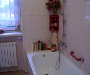 Zdjęcie 7533
