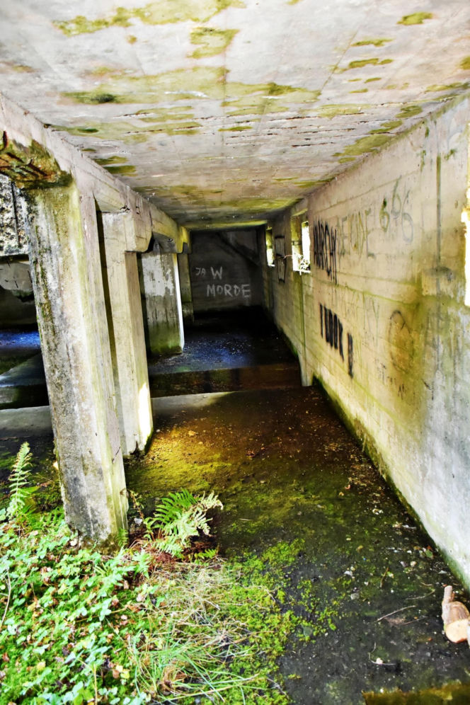 Tajemnicza podziemna hala w woj. warmińsko-mazurskim. Nikt nie wie, co tam się znajdowało