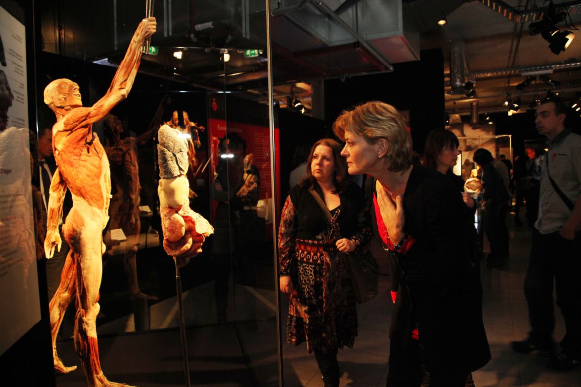 Body Worlds: Wystawa, której nigdy nie zapomnisz