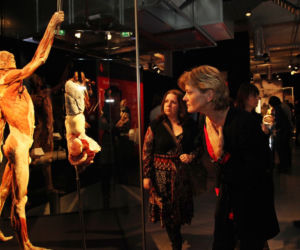 Body Worlds: Wystawa, której nigdy nie zapomnisz