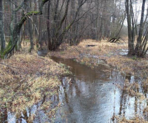 Dzikie zakątki woj. śląskiego