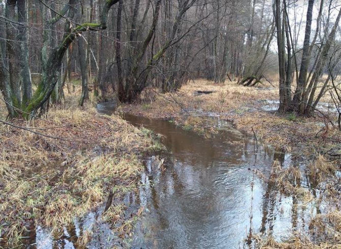 Dzikie zakątki woj. śląskiego