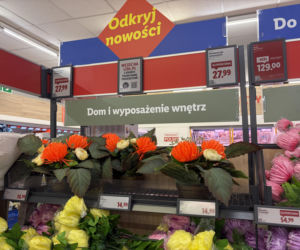 Kwiaty na Wszystkich Świętych 2026
