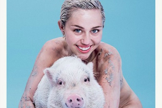  Miley Cyrus nago z prosiaczkiem na okładca Paper. Prawie jak Kim Kardashian...