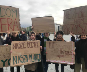 Manifestacja w obronie klimatu