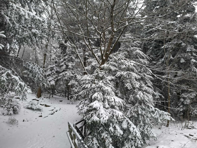 Majestatycznie, zimowo, jak w bajkowej Narnii. Tak Nowy Rok wita Święty Krzyż