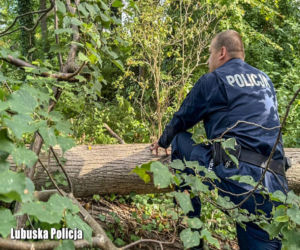 Śledczy badają tajemniczą śmierć znanego operatora. Jest data sekcji i powołany biegły