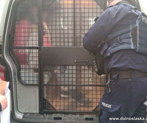 Dolnośląscy policjanci zatrzymali 19 osób poszukiwanych listami gończymi