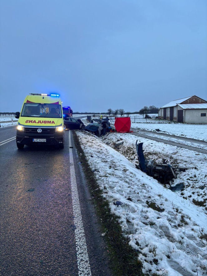 Czołowe zderzenie w Emilcinie. Zginął 34-letni kierowca seata