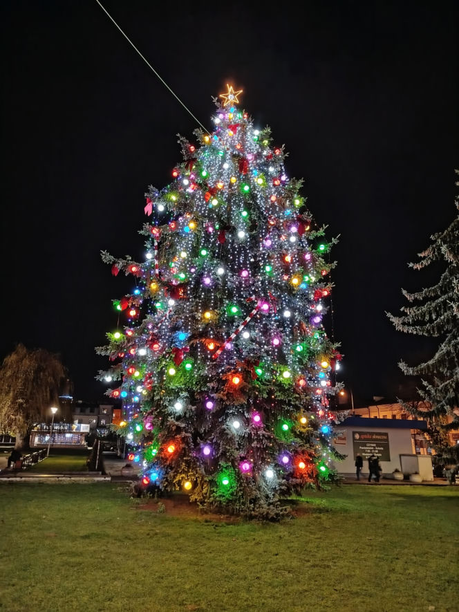 Choinka miejska Siedlce