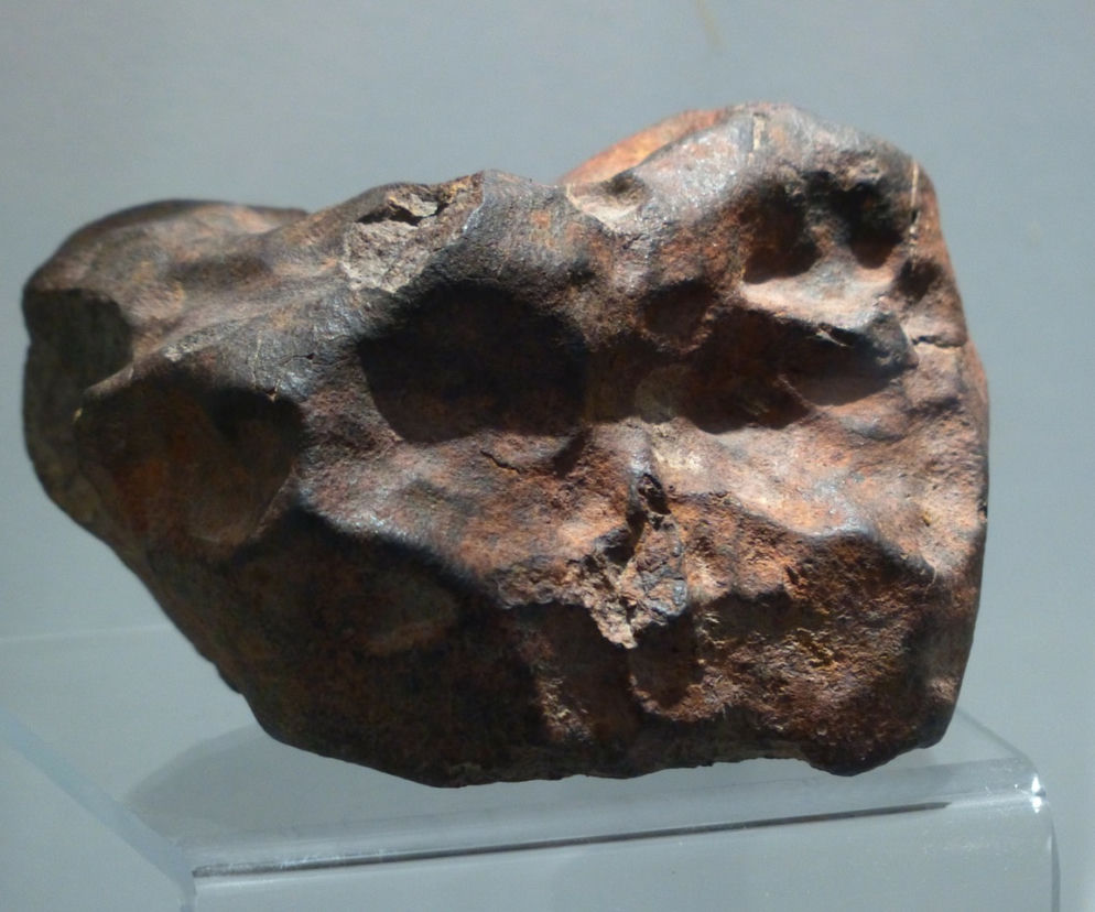 Od marca meteoryt będzie dostępny w Muzeum Ziemi Uniwersytetu im. Adama Mickiewicza na Morasku.
