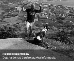 Michał M. zastrzelony w Niemczy