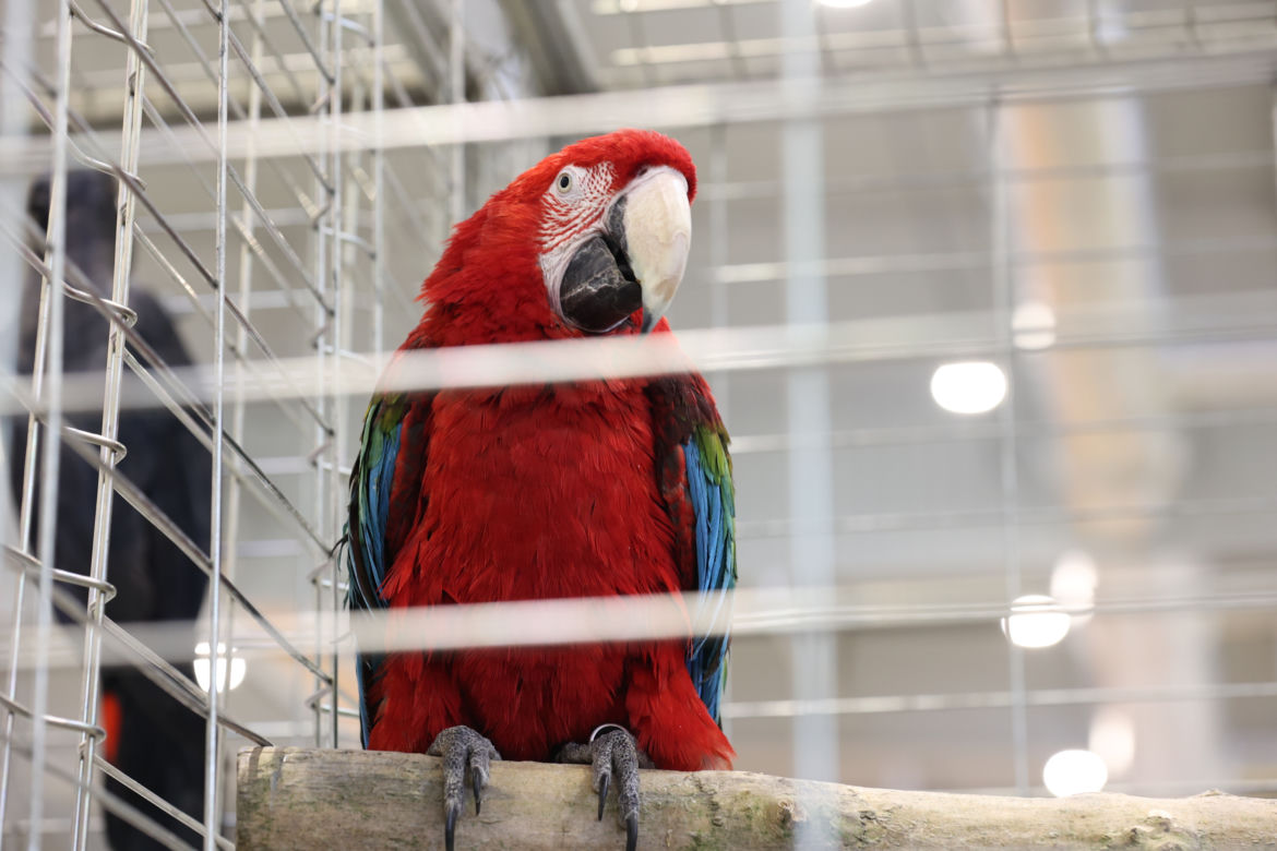 ZooPark 2023 w Lublinie przyciągnął tłumy!