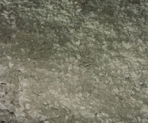 PICT4458.JPG