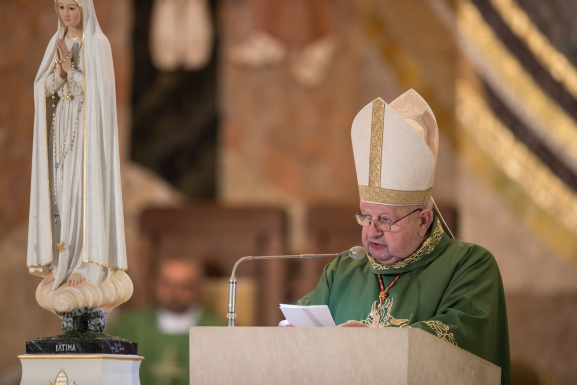 Kardynał Dziwisz: Nie wziąłem pieniędzy za ukrywanie czynów niegodnych