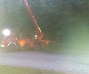 Nawałnica w gminie Lisia Góra łamała drzewa jak zapałki. Potężne zniszczenia 