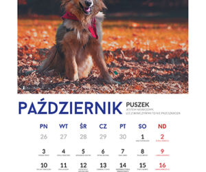 Październik - kalendarz ze zwierzętami