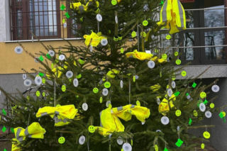 Powraca odblaskowa choinka - W najbliższy poniedziałek będzie można ją rozebrać z brelokow i kamizelek