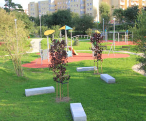 Park Majowe