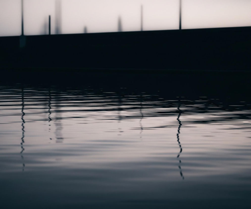 Wodna powierzchnia, pokryta drobnymi falami, zajmuje dolną połowę obrazu, odbijając faliste, rozmyte cienie pionowych struktur. Powyżej znajduje się ciemna, pozioma ściana, której górna krawędź jest wyraźnie zarysowana. Nad tą ścianą widoczne są zamglone, rozmazane sylwetki kilku wysokich, cienkich obiektów, prawdopodobnie słupów, wznoszących się na tle jasnego, niemal białego nieba. Całość utrzymana jest w chłodnych odcieniach szarości i błękitu, z lekkimi różowymi tonami w górnej części.