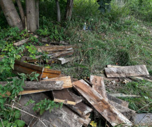 Zaginęła 11 dni wcześniej. Ciało znaleziono 130 metrów od domu matki