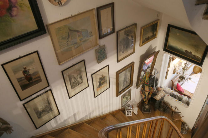 Koty Jarka nas terroryzują