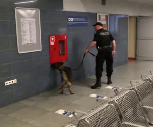 Alarm bombowy na gorzowskim dworcu!