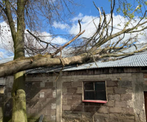 Wichury nad woj. lubelskim